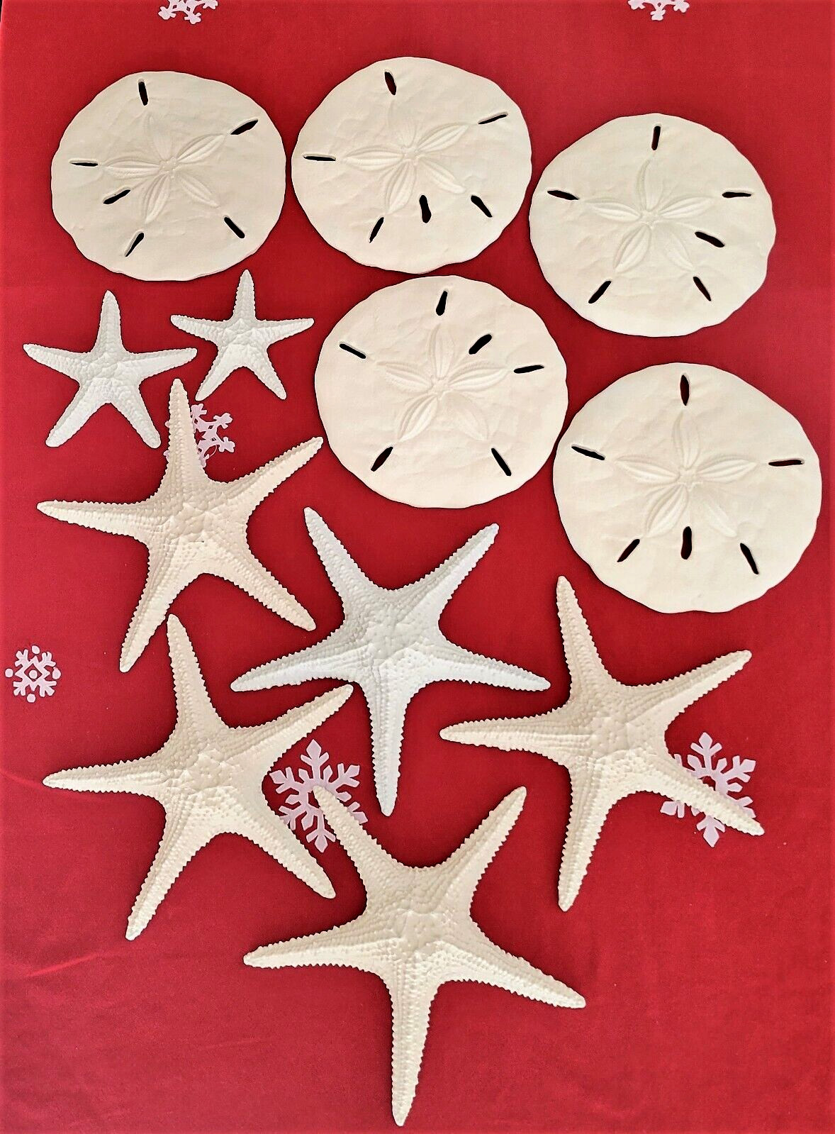 Lot of 12 Starfish and Sand Dollar Nautical Hanging Wall Decor Large Pieces VGUC