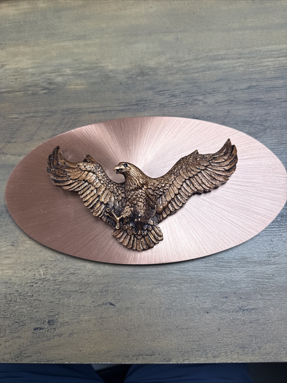 Bronze Metal Oval Eagle Wall Plaque Decorative Wildlife Hanging
