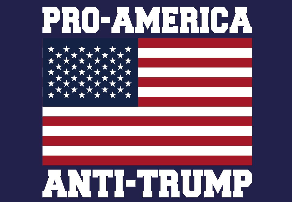anti Trump Yard Signs 2024 Yard Sign Pro-Biden Anti-Trump Sign Lawn Biden Trump