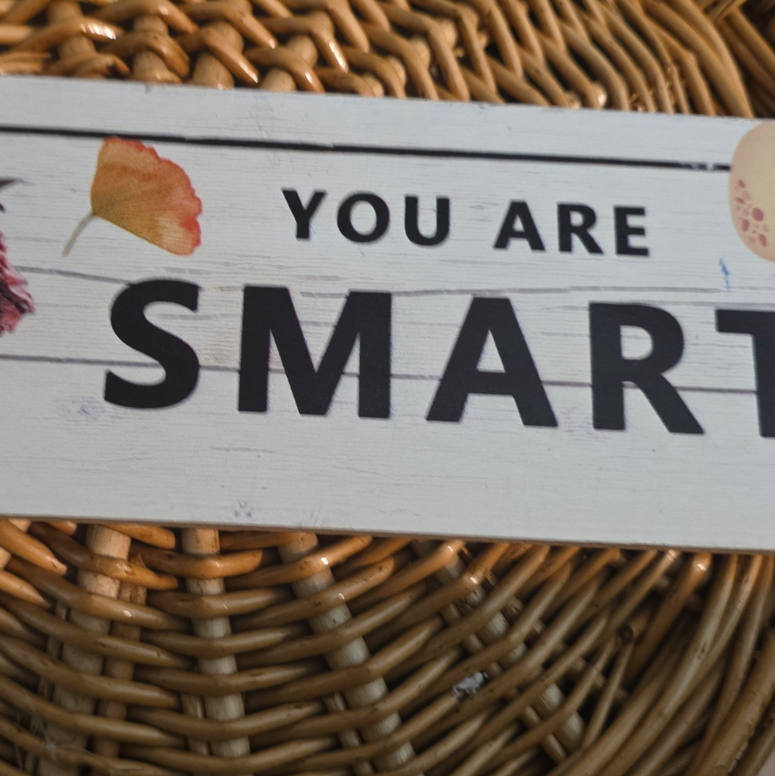 Vertical Wood Quote Sign “You Are Smart” Pig Graphic Black & White Printed