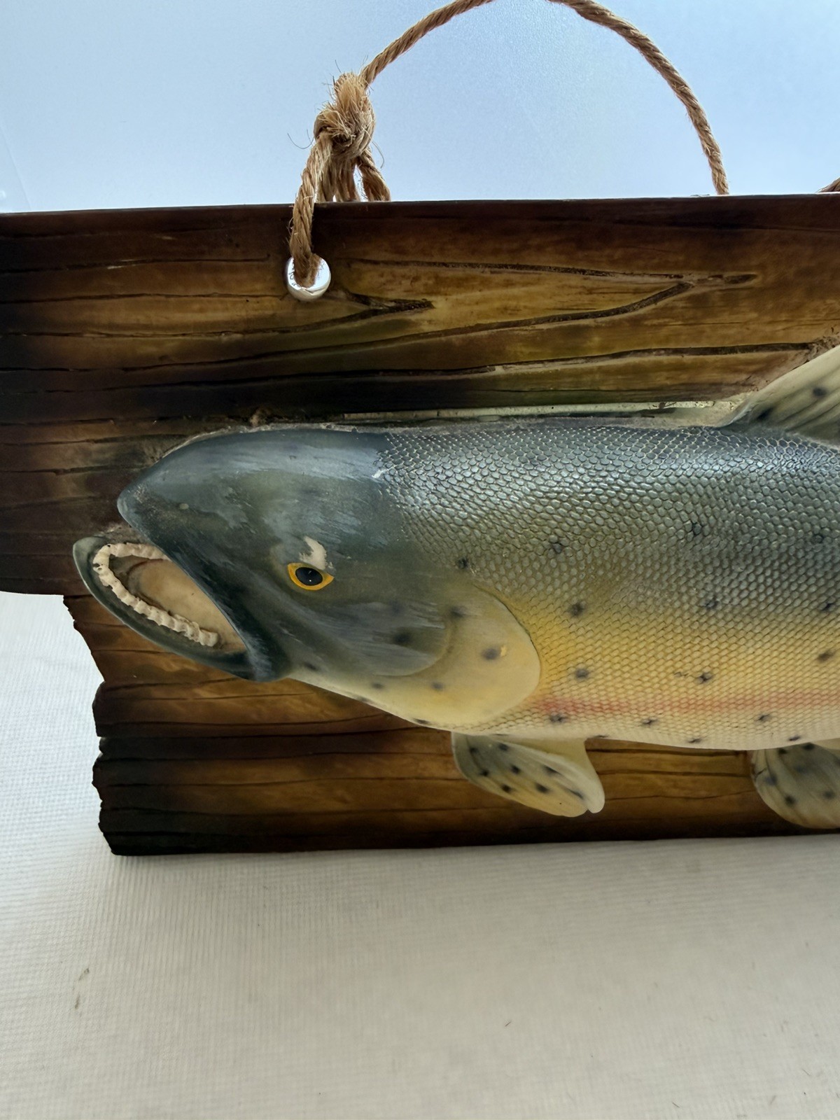 Trout Wall Hanging Wall Plaque 3D Fish Design Rustic Wood Look Rope Hanger
