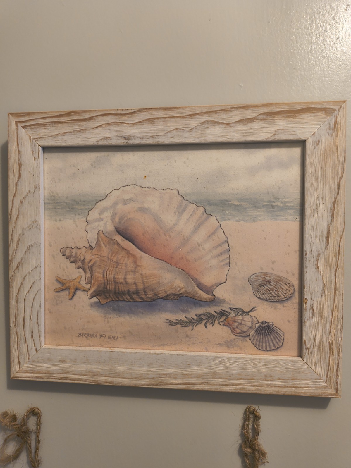 Beach Shells Coastal Wood Wall Plaques Hanging Decorative decor 3 Picture Lot