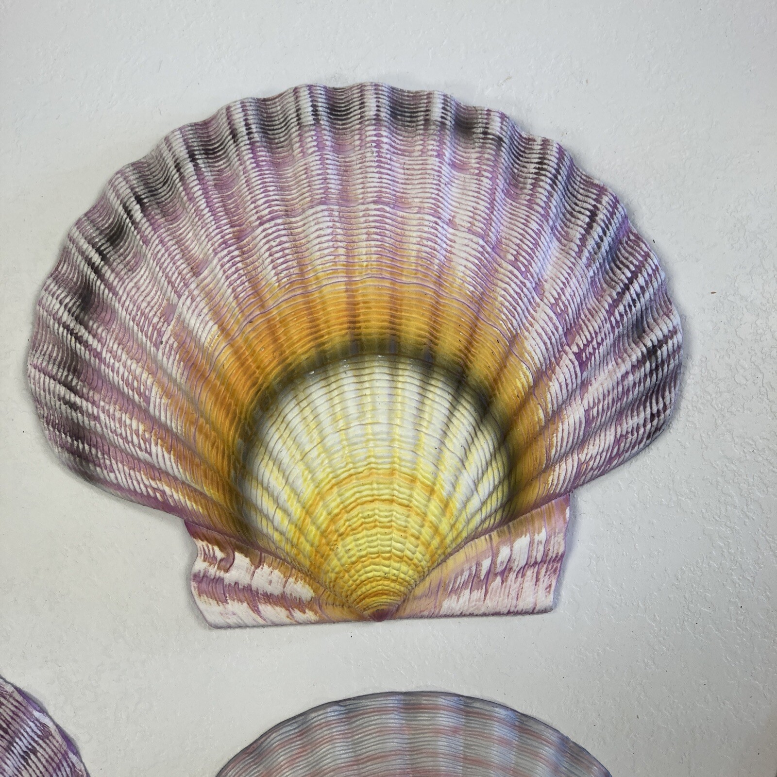 CIT Collection Wall Plaque Seashells 1 Large 6.5 L X 7.5 W 3 Small 6”L X 5” W