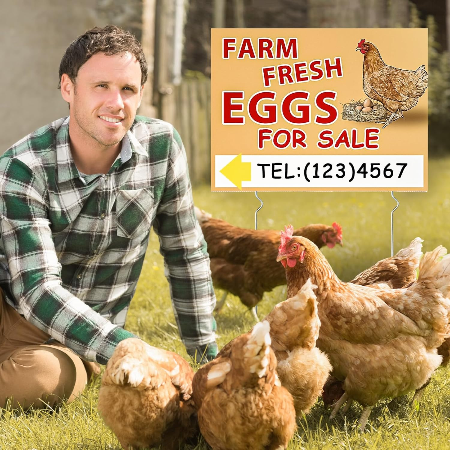 3 Pcs Farm Fresh Eggs Sign 16 x 12 inch Double Sided Fresh Egg Sign