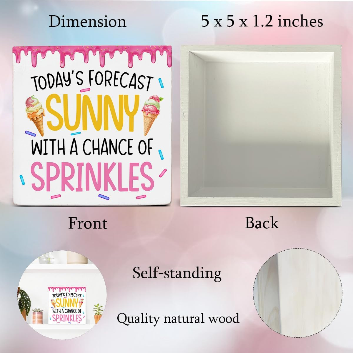 Summer Home Decor Decorative Gifts for Men Women Friends Sprinkles Wood Sign Ice