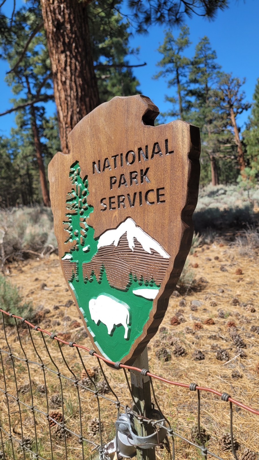WOOD CARVED NATIONAL PARK SIGN 12″X15″ HAND PAINTED MADE LOCAL NPS