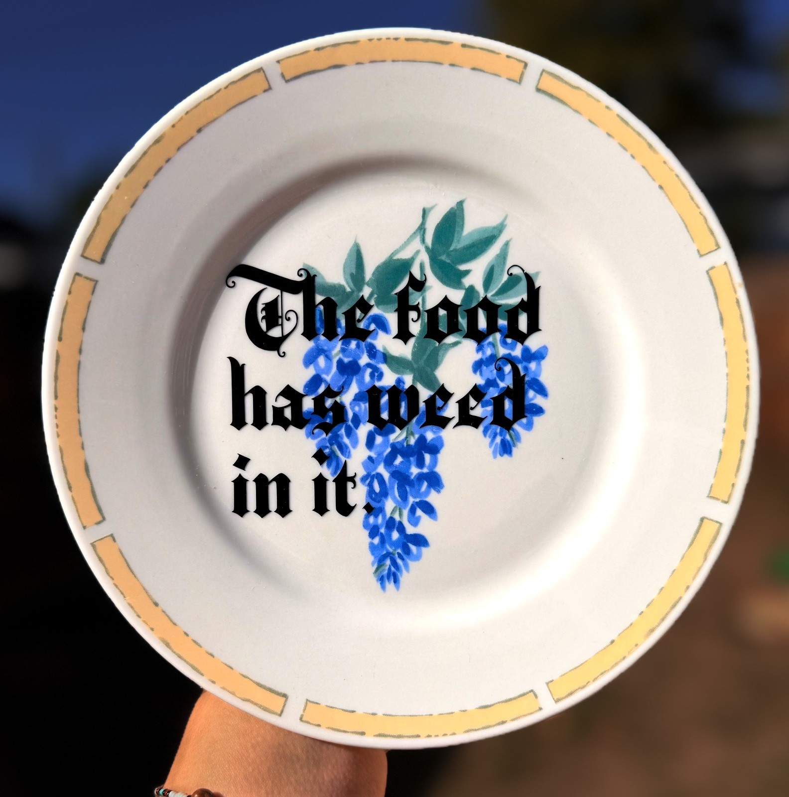 Funny “The food has we*d in..” – Vintage Hanging Handmade Floral Wall Plate – 8”