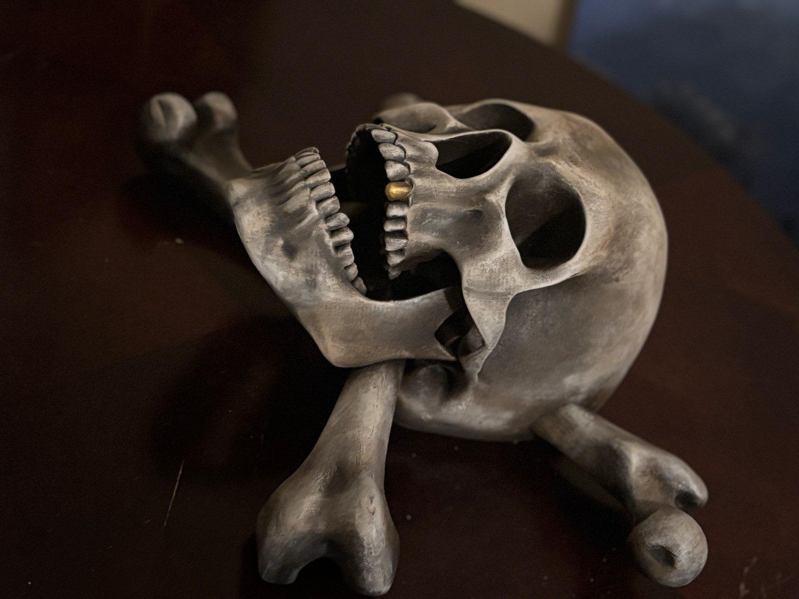 Pirate Skull & Crossbones Wall Decor | Lifesize Jolly Roger | Halloween Man Cave