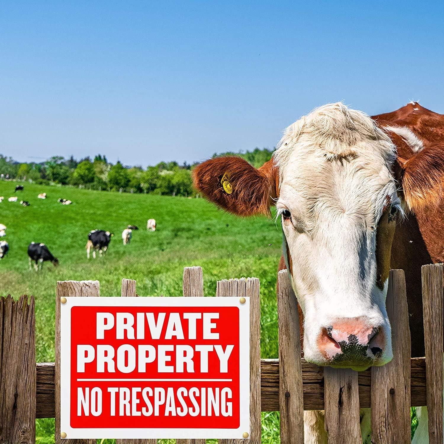 High Visibility No Trespassing Signs – 9×12 Inches for Ultimate Property Safety