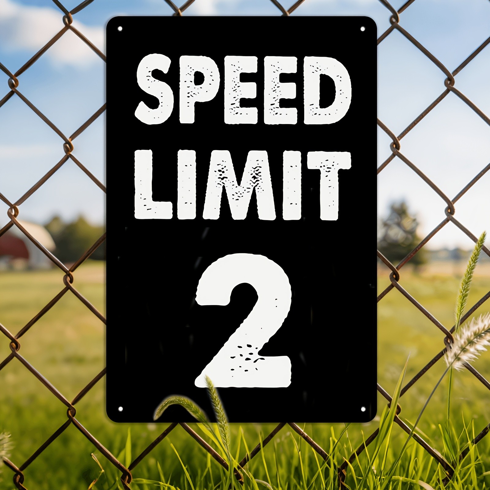 Metal Warning Sign 20*30cm 2 MPH Speed Limit