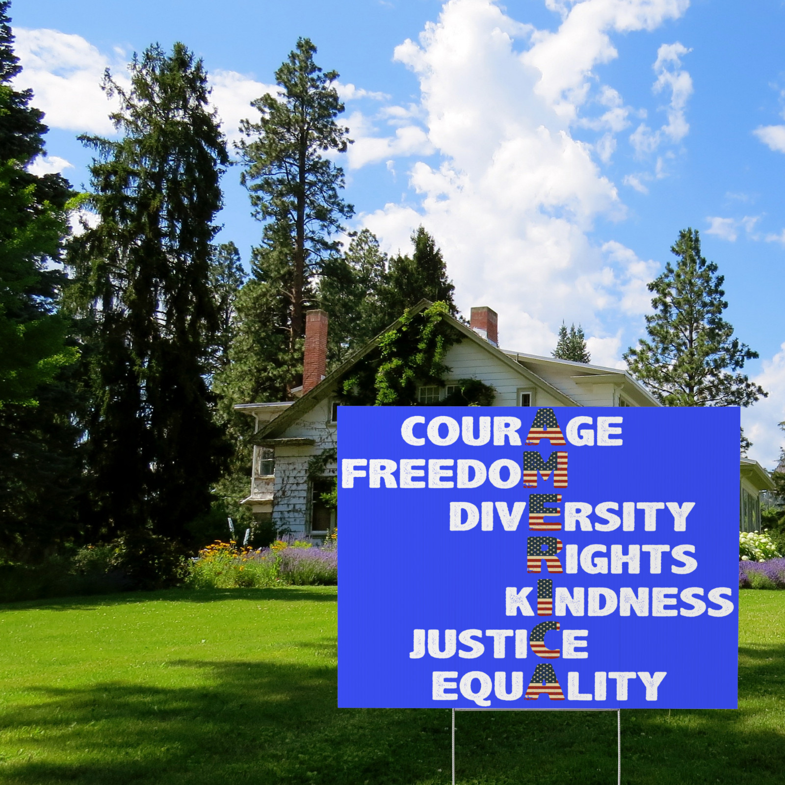 Courage Freedom Diversity Rights Kindness Justice Equality, Pro America Values