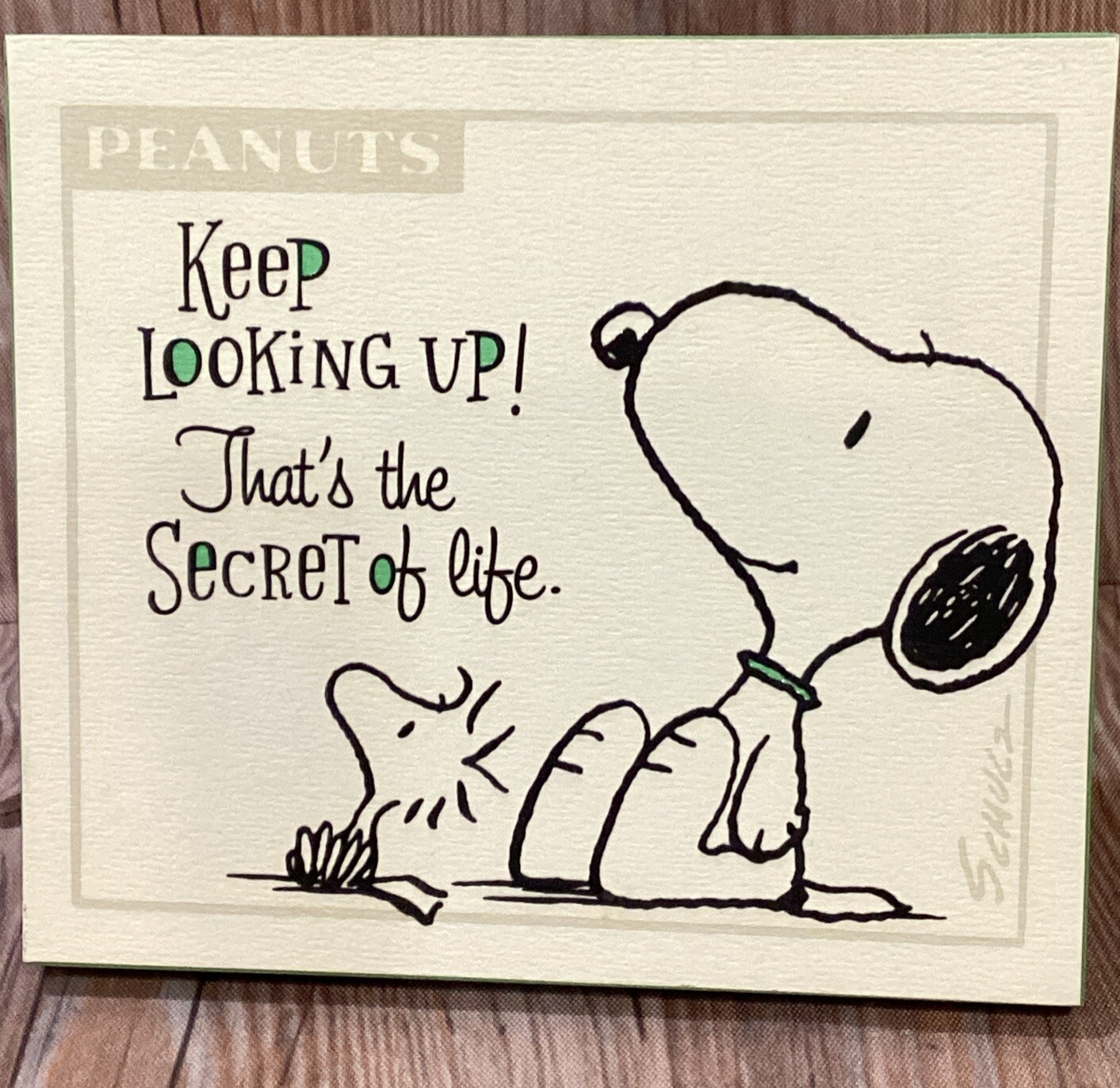 Hallmark Peanuts Snoopy Hanging Standing Decor