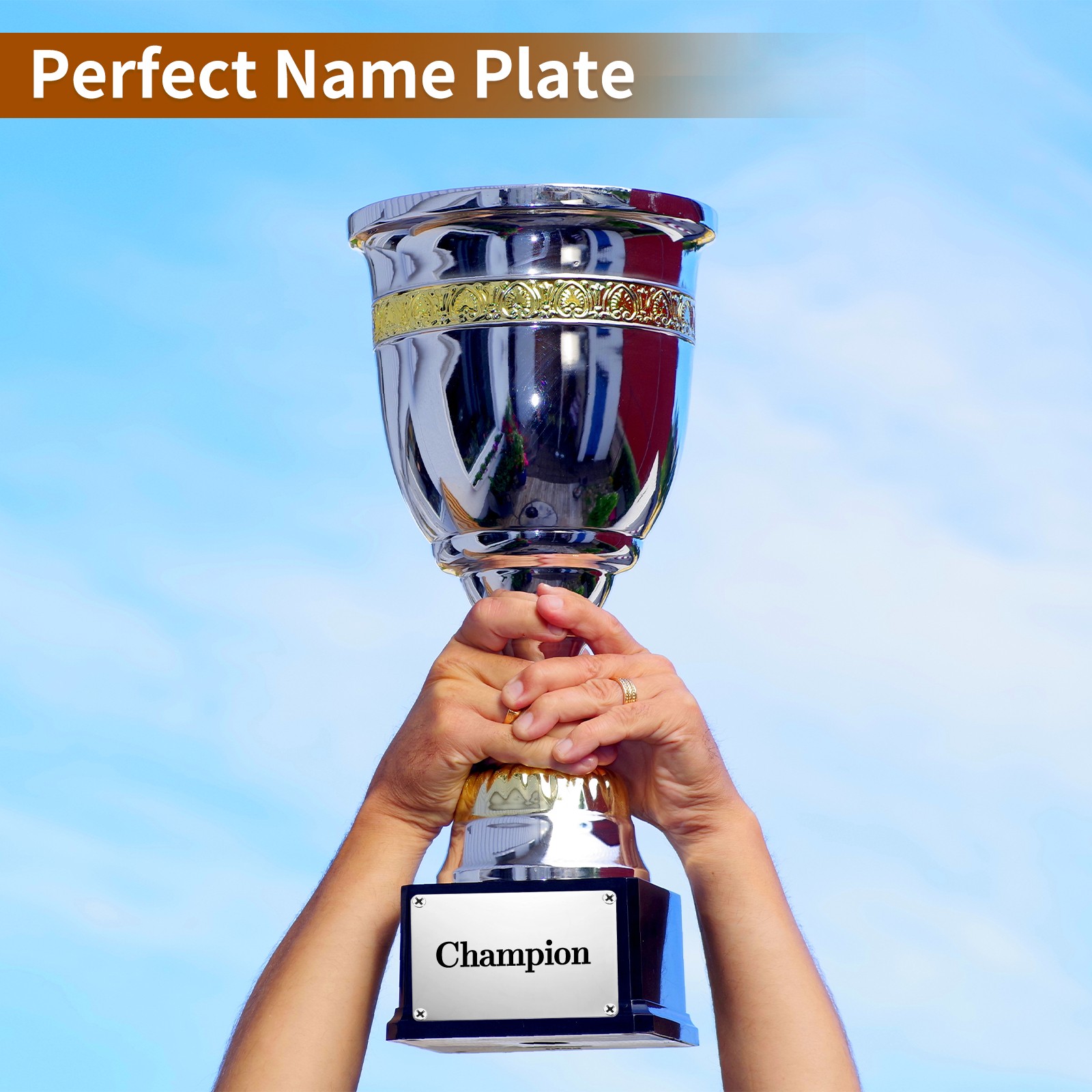 6Pcs Blank Name Plates, 4.3 x 2.8″ Mirror Engraved Plate with 4 Holes, Silver