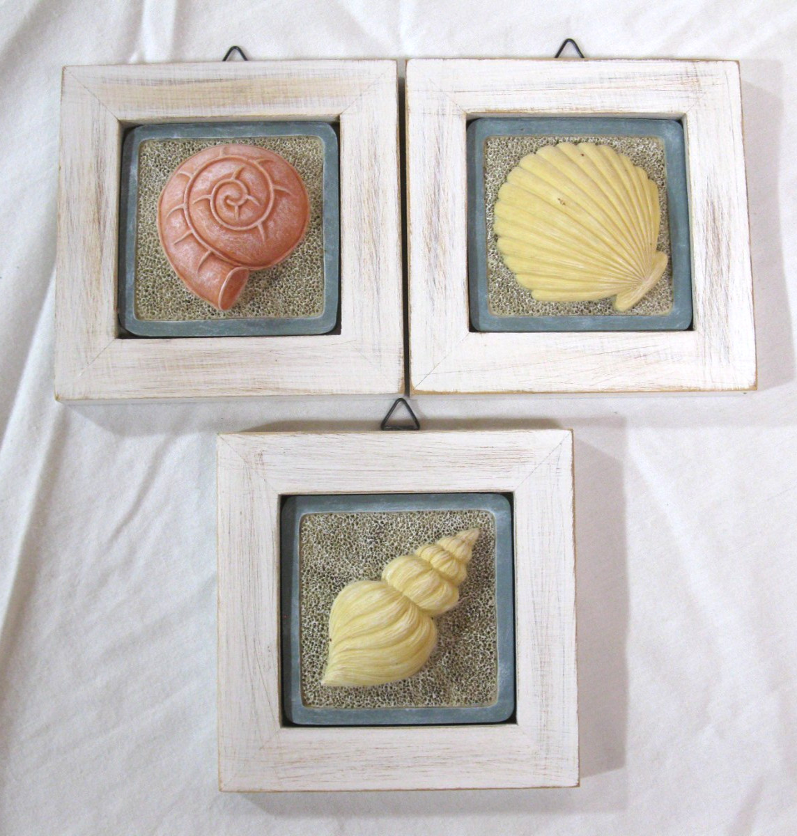 Sea Shell Seashell Wall Plaque Set of 3 Coastal Beach Decor