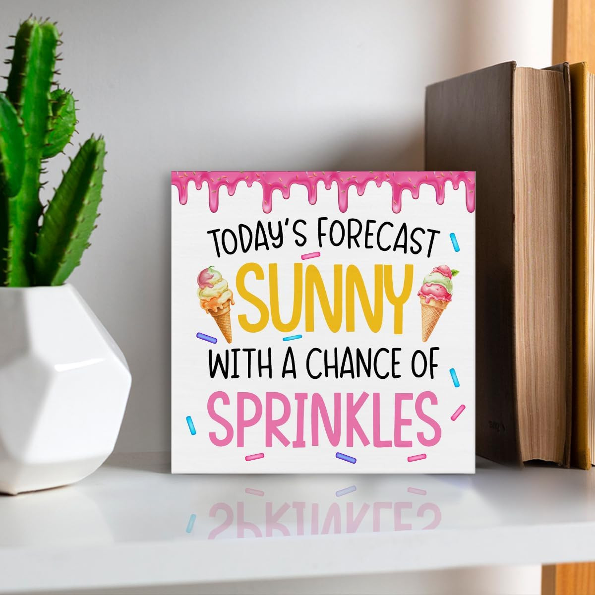 Summer Home Decor Decorative Gifts for Men Women Friends Sprinkles Wood Sign Ice
