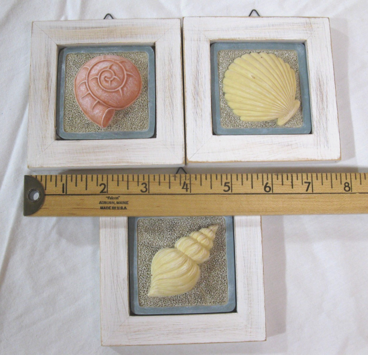 Sea Shell Seashell Wall Plaque Set of 3 Coastal Beach Decor