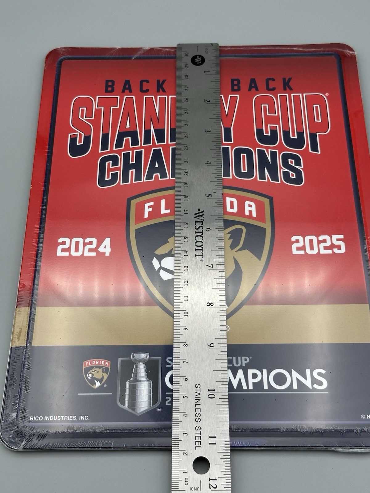 NHL Florida Panthers Back to Back Champions 2024-2025 8.5×11 Metal Wall Hanging