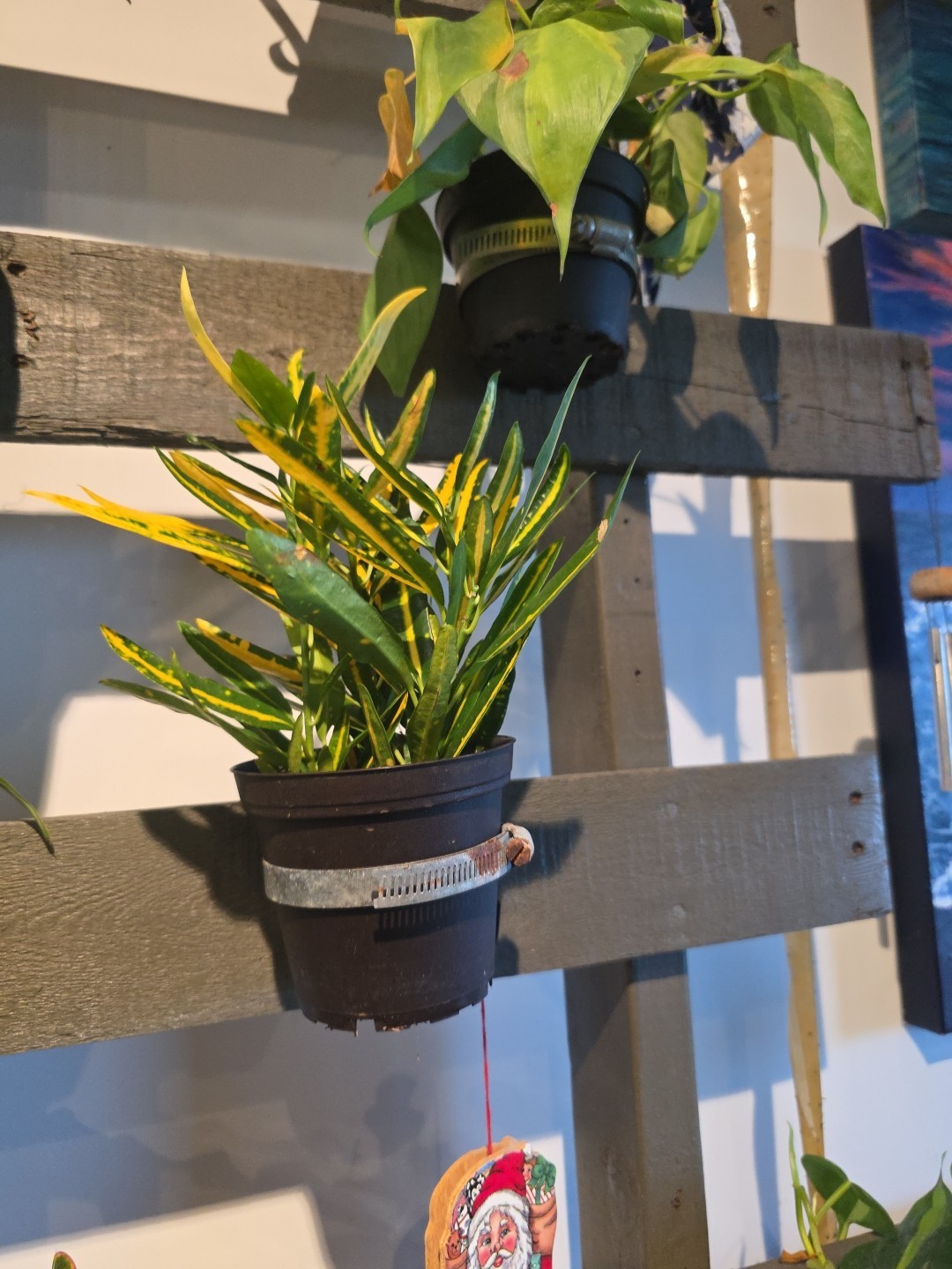 Homemade One of A Kind Living Plant Wall – Can Build You a Custom Version