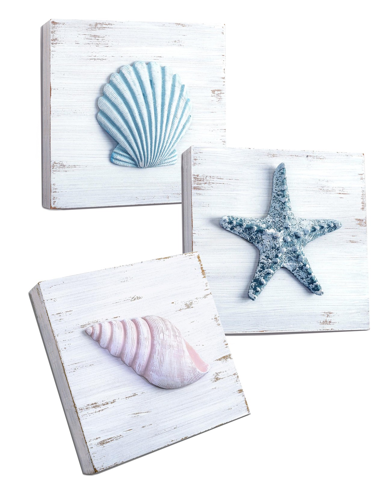 Tide and Tales 3D Beach Wall Art Seashell with Starfish for Coastal Bathroom…