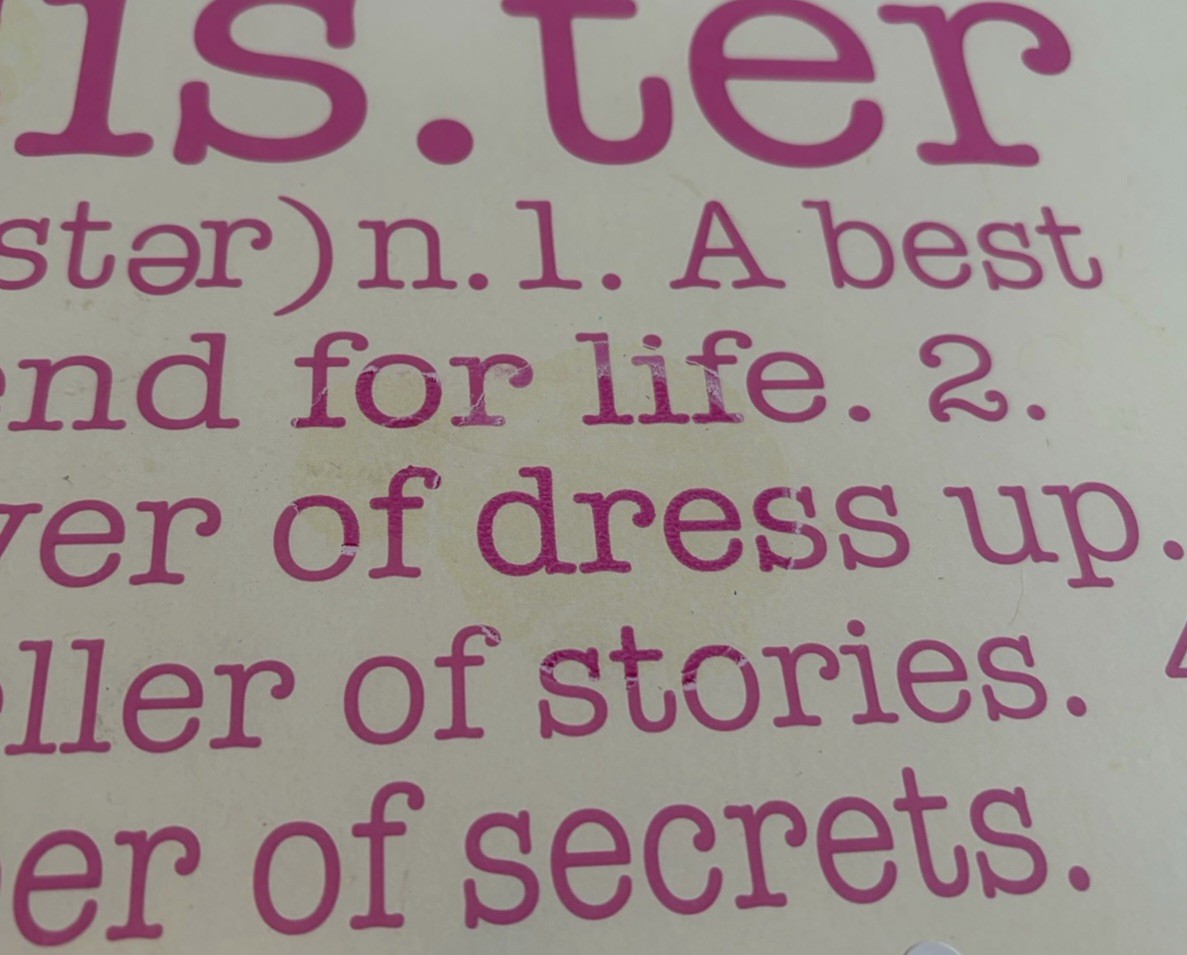Stupell Sisters Quote Sign Wall Art Pink & White Birds Sis Definition 10,5” X 15