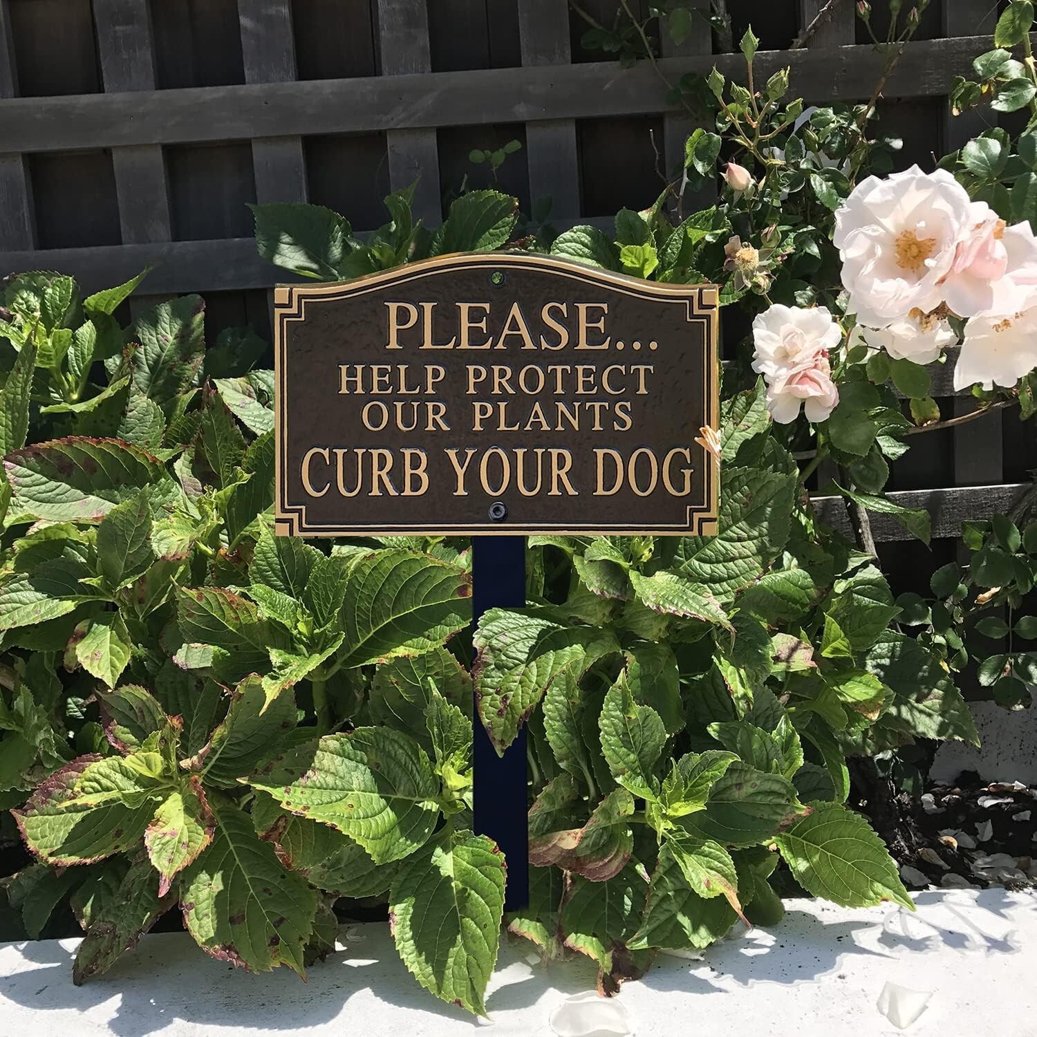 Durable Black & Gold ‘Curb Your Dog’ Plant Protection Plaque with 18″ Lawn Stake