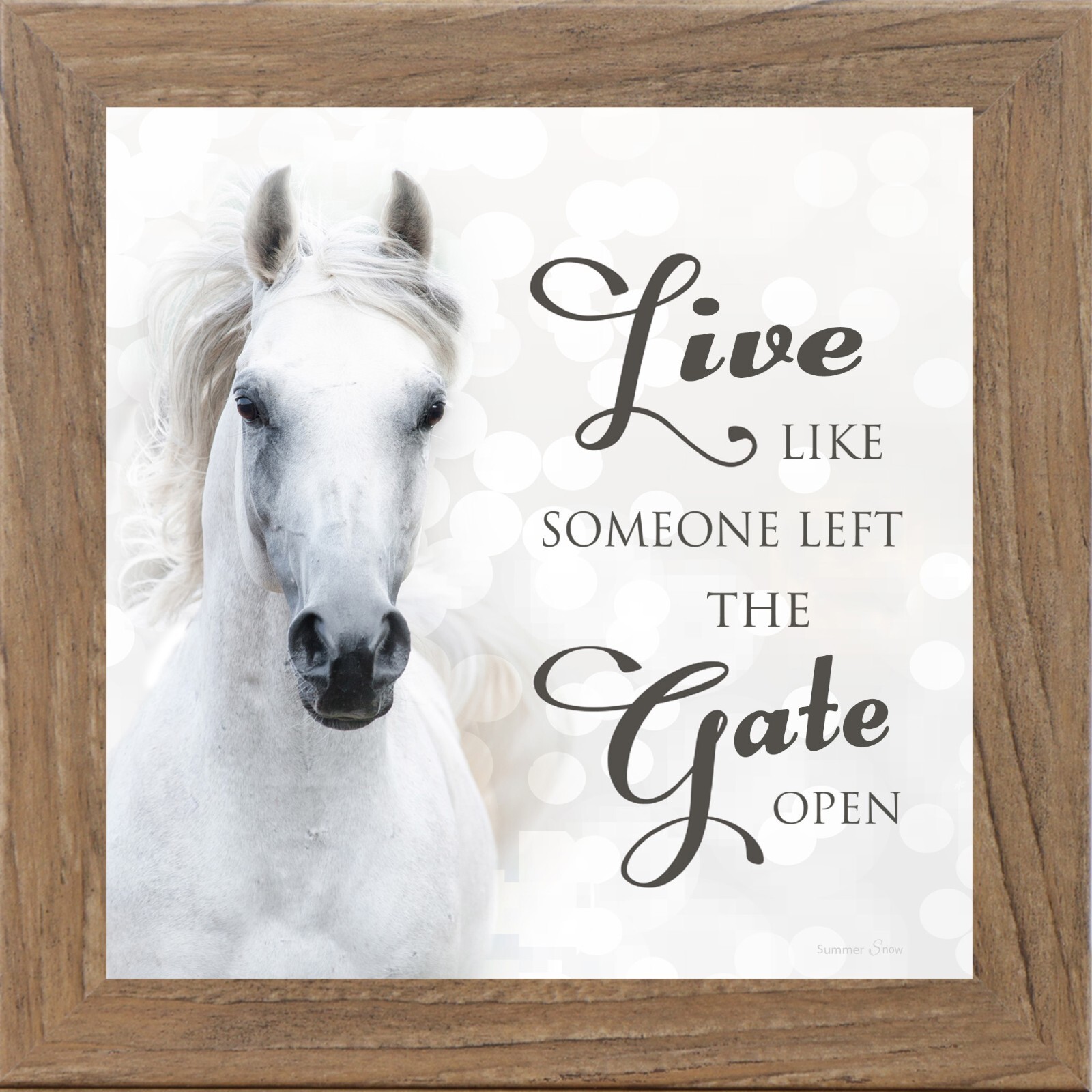 Live Like Someone Left the Gate Open – Horse Wall Art by Summer Snow