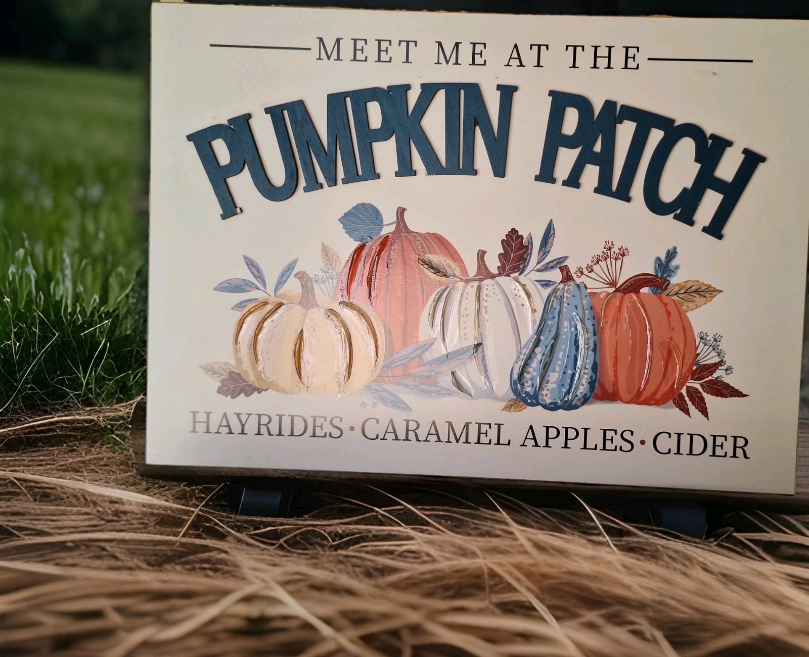 Ashland Wall Decor Pumpkin Patch Sign 23×17 Rope Hanger Garden Business Fun