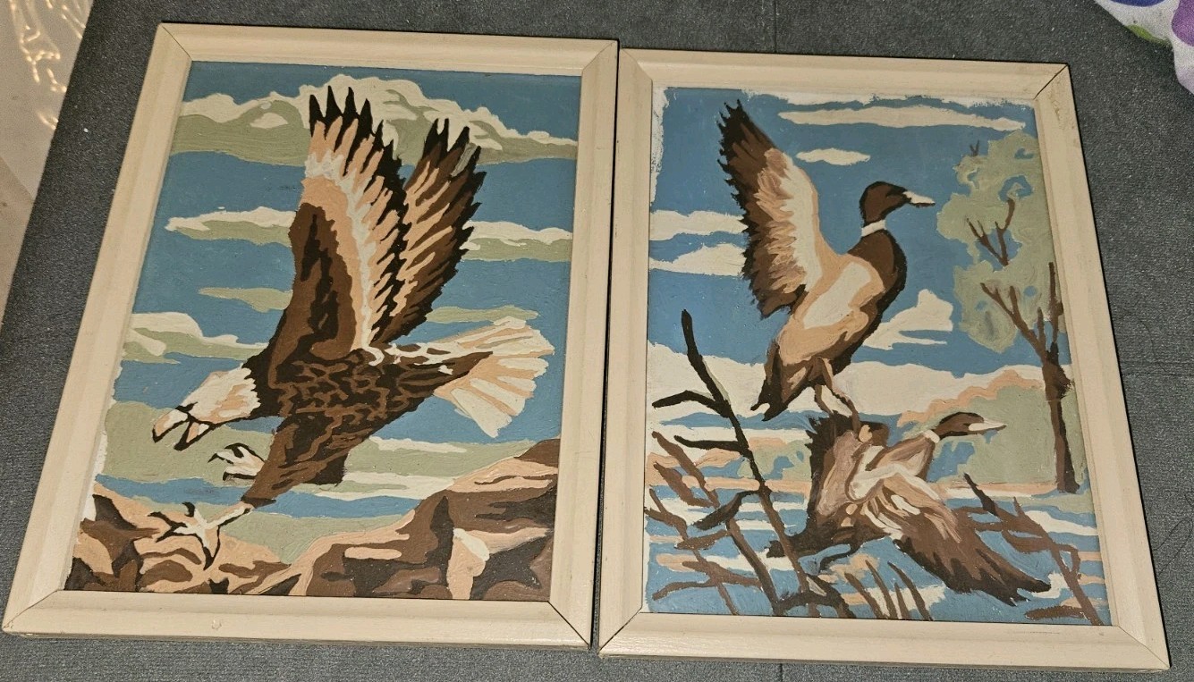 Vintage Paint By Numbers Eagle Ducks Retro Home Decor Painting 6″ X 8″ Framed