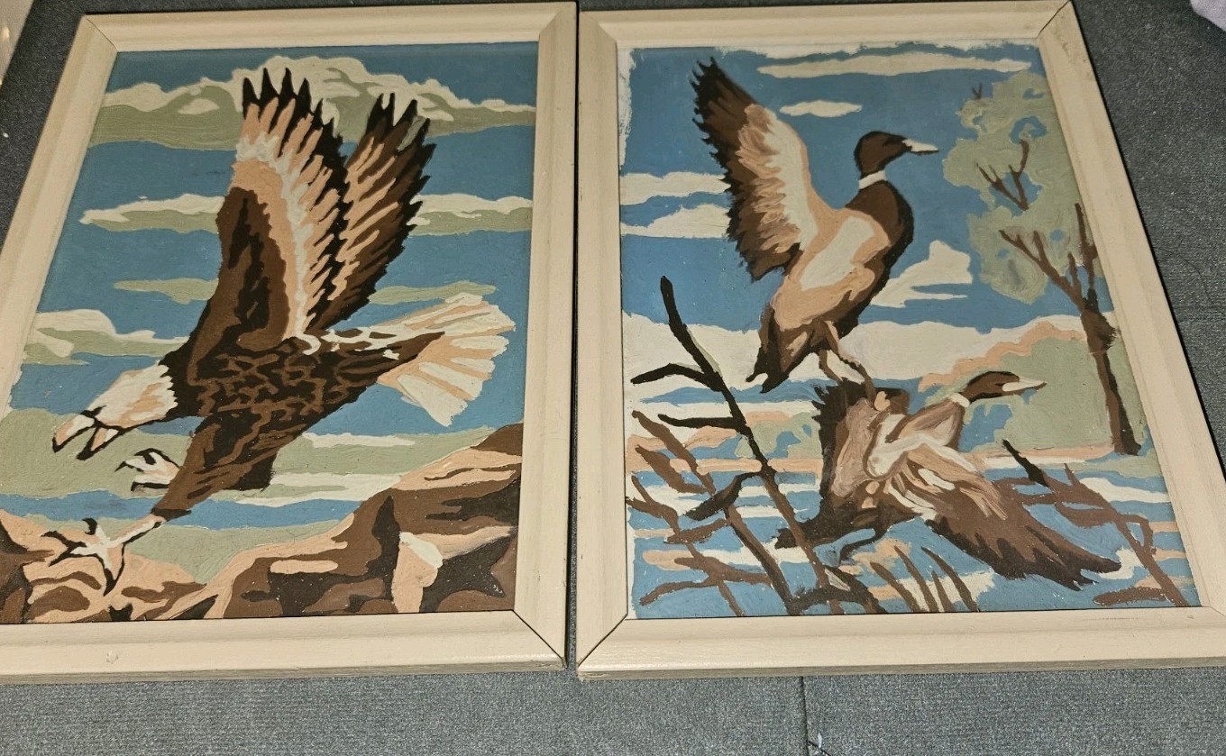 Vintage Paint By Numbers Eagle Ducks Retro Home Decor Painting 6″ X 8″ Framed