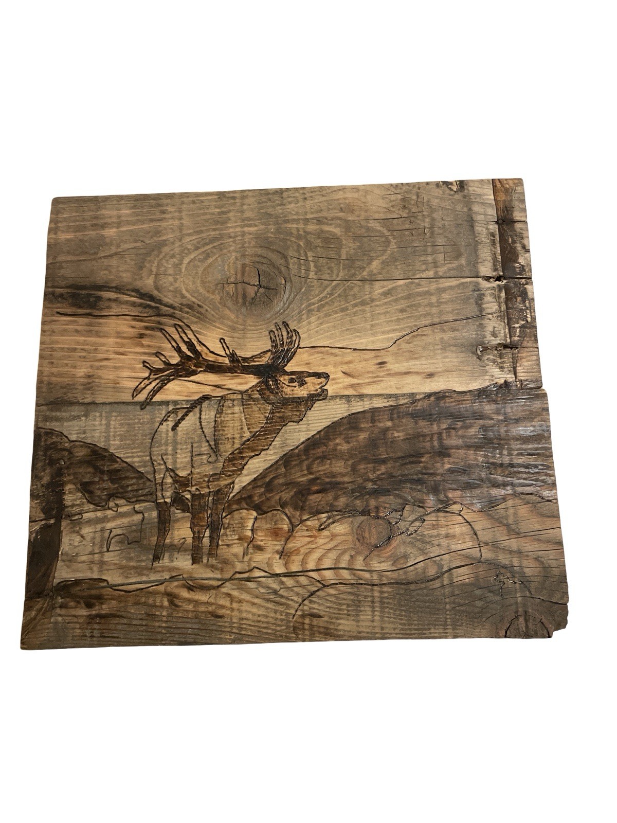 Rustic Handmade Engraved Wooden Wildlife Plaque Decorative Animal Print