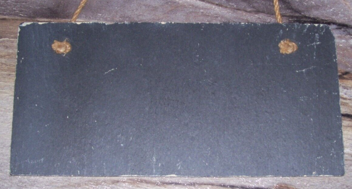 4.25in. x 9in. Slate Wall Hanging Sign “Dog-Gone Good to the Bone”