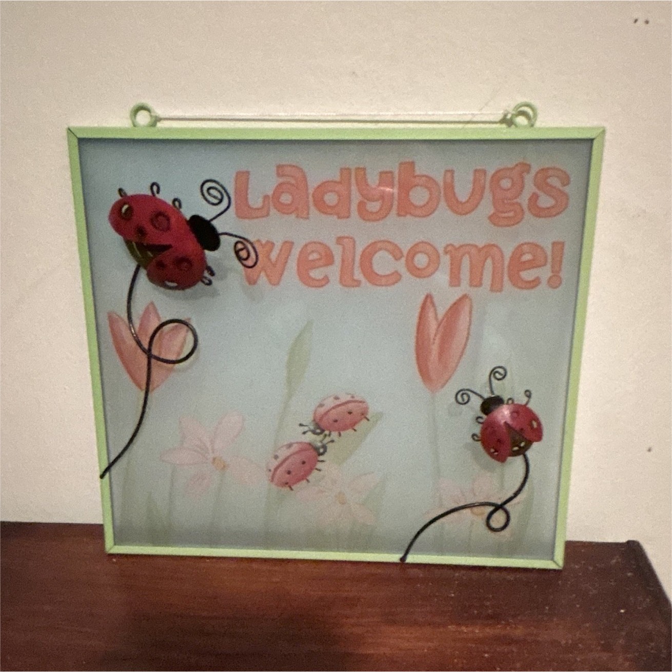 Greenbrier Ladybug Decorative 3D Effect Metal Sign, Green & Red, Ready To Hang