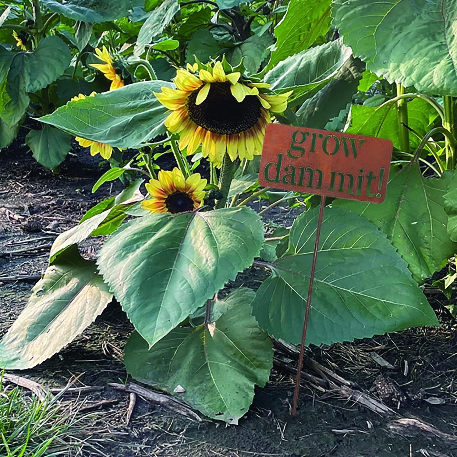 Grow Dammit Funny Garden Sign, Unique Outside Gardening Decor Outdoor, Flower…