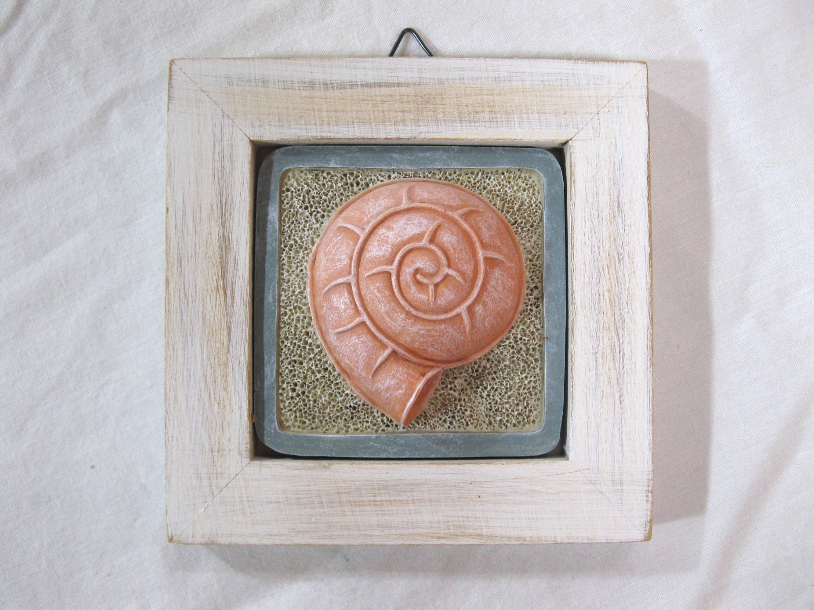 Sea Shell Seashell Wall Plaque Set of 3 Coastal Beach Decor