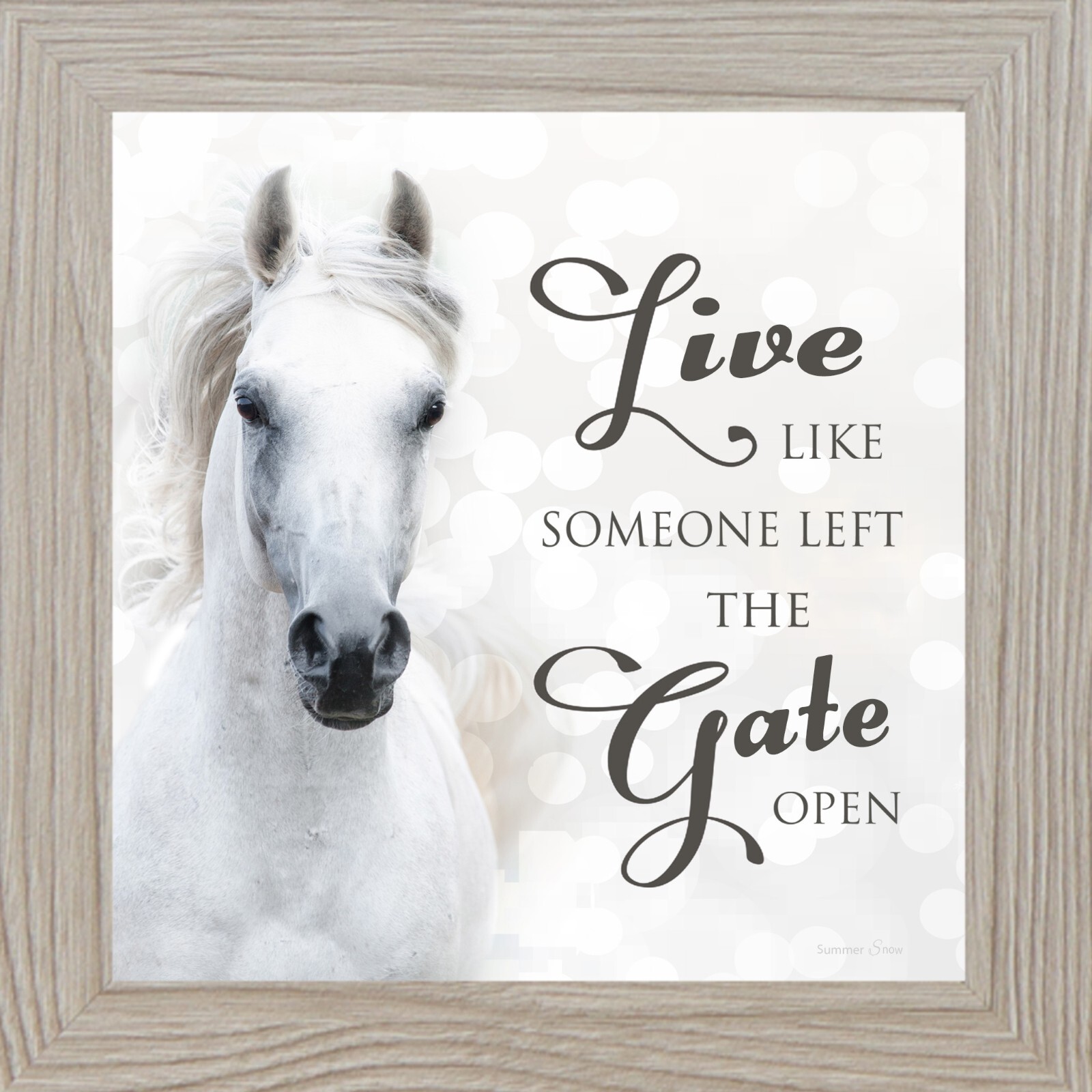 Live Like Someone Left the Gate Open – Horse Wall Art by Summer Snow