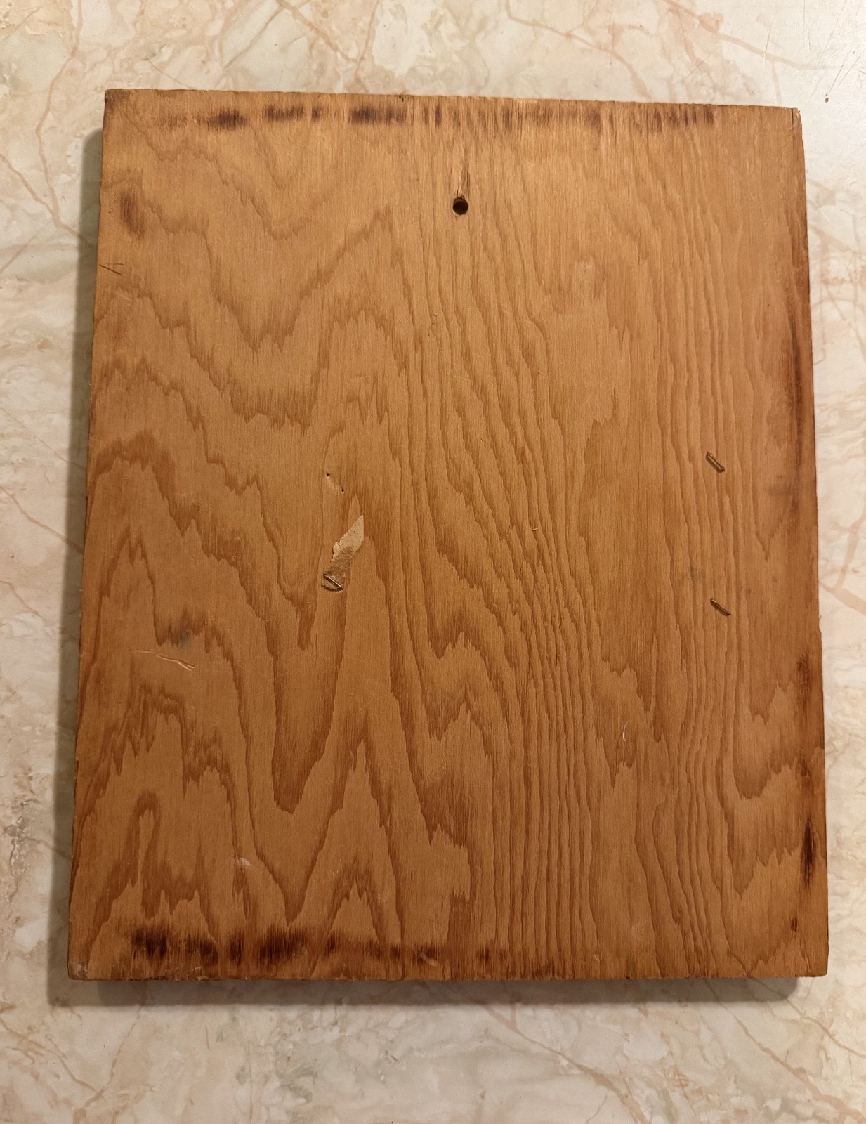 Vintage Rustic Botanical Wood Wall Plaques Set of 2 Cottagecore Floral Decor
