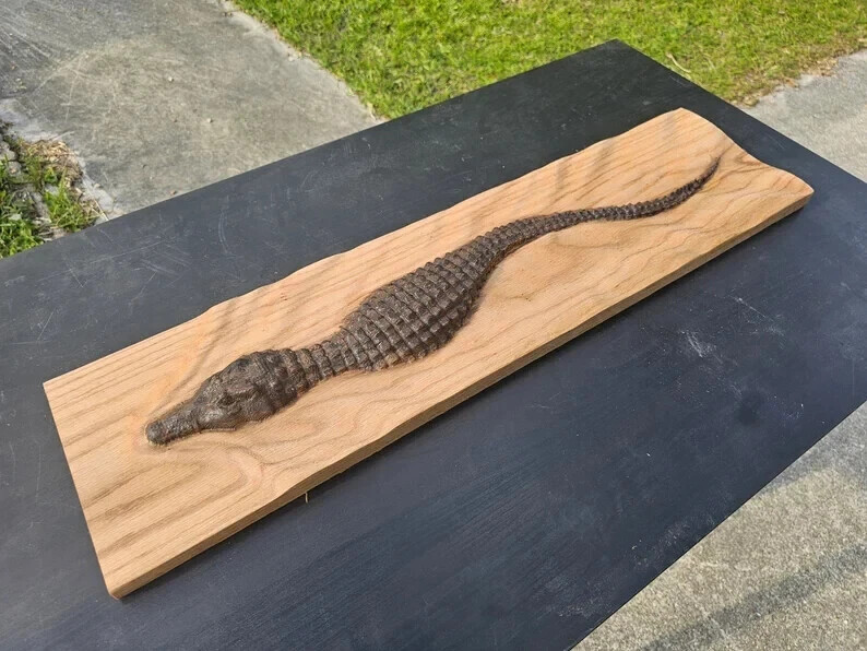 Antique Polished Crocodile, Abstract Wood Sculpture, Modern Wall Decor Art Gift