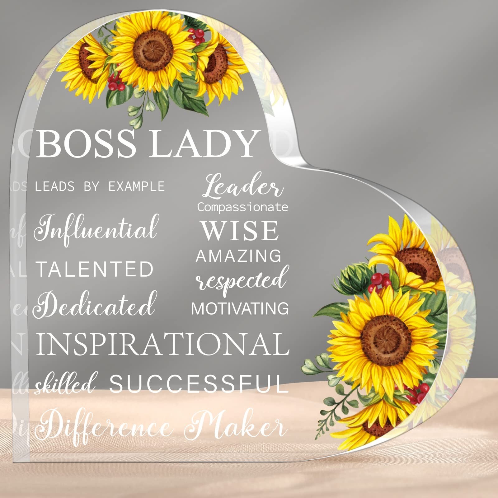 Boss Lady Gifts for Women Acrylic Boss Lady Desk Boss Lady Office Decor Inspi…